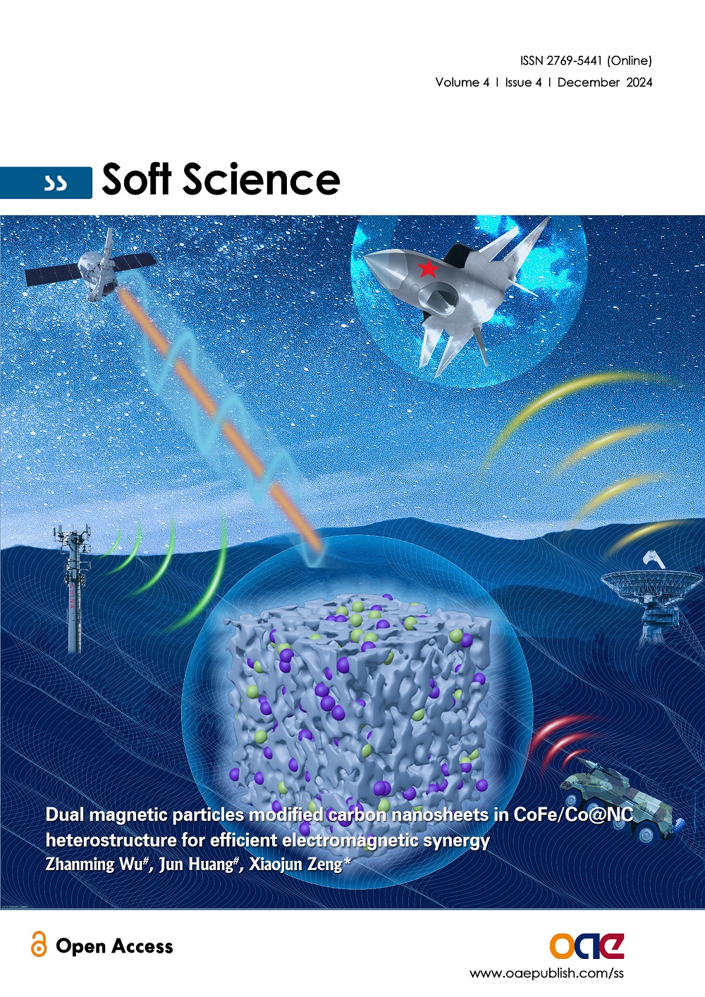 Volume 4, Issue 4 (2024) – 12 articles | Soft Science
