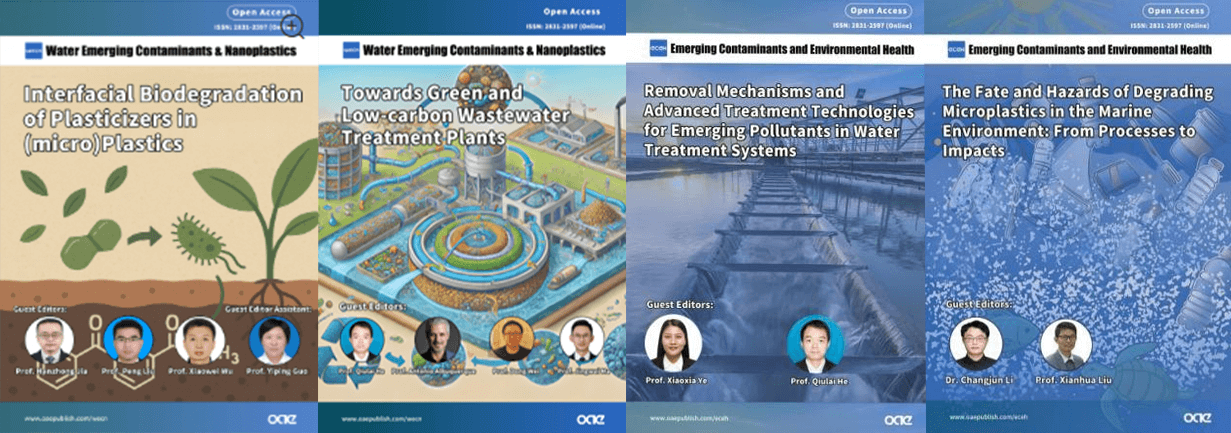 Special Issue Cover 2