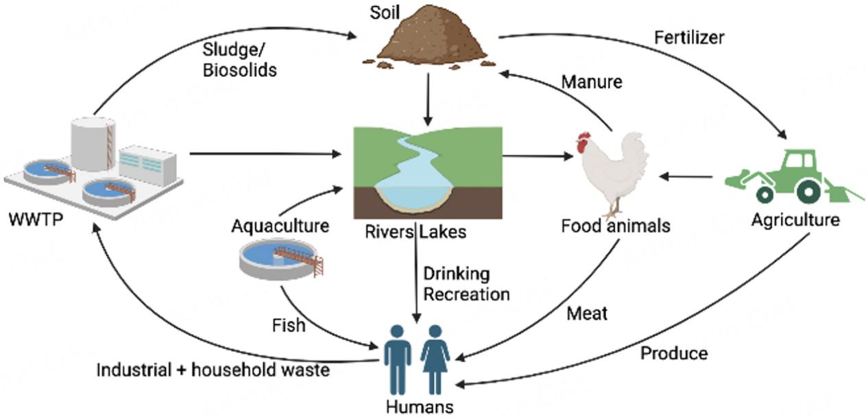 Graphical Abstract of Second Prize Paper