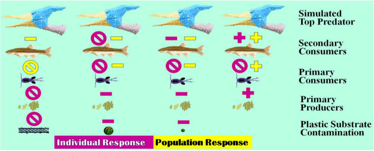 Graphical Abstract of First Prize Paper
